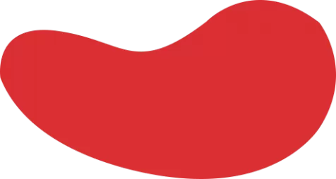 FB体育官方网站 - 提供FB体育APP下载试玩服务