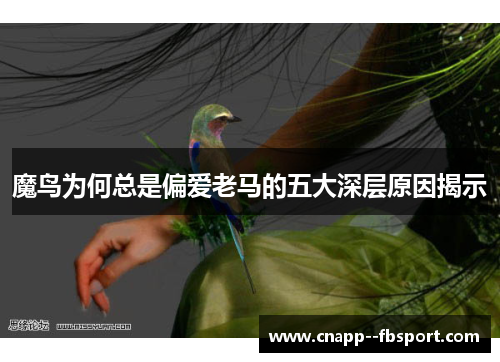 魔鸟为何总是偏爱老马的五大深层原因揭示